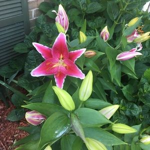 Meet your Posher, Kacey